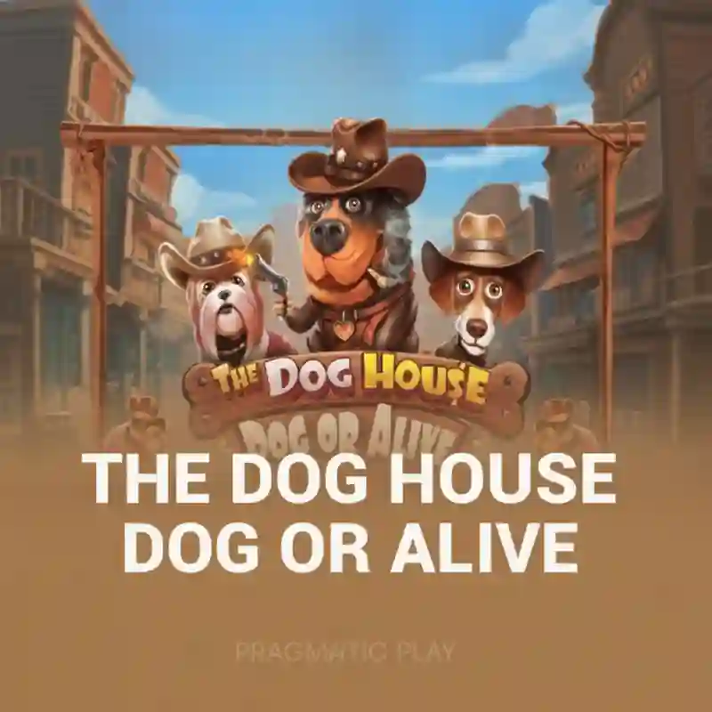The Dog House Dog Or Alive